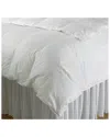 Downtown Company Dreamy Hungarian Goose Down Comforter