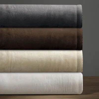 Downtown Company Mellen Egyptian Quality Cotton Blanket In Gray