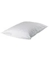 Downtown Company Set Of 2 Oversized Pillow Protectors