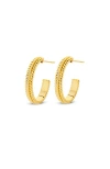 Dpt Antwerp Dotty Hoops In Gold