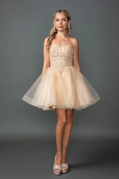 Dq Dress Strapless Sweetheart Corset With Beaded Bodice And Layered Tulle A-line Skirt In White