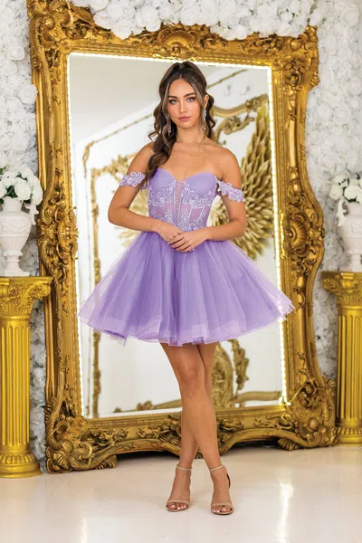 Dq Dress With Off-shoulder Design, Sheer Corset Bodice, Embroidered Lace Applique, And Layered Tulle Sk In Blue