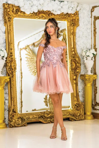 Dq Embellished Lace Overlay Dress With Corset Back And Sheer Off-shoulder Sleeves Homecoming Dress In Multi