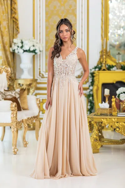 Dq Embroidered Bodice A-line Gown With Sheer Overlay And Sleeveless Design Prom Dress In Neutral