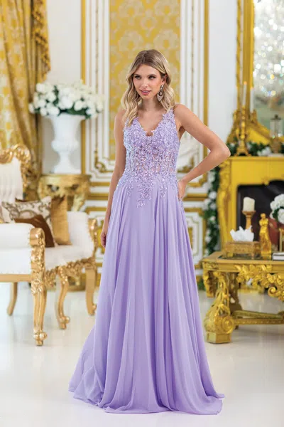 Dq Embroidered Bodice A-line Gown With Sheer Overlay And Sleeveless Design Prom Dress In Purple