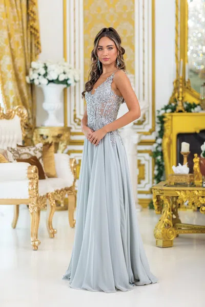Dq Embroidered Bodice A-line Gown With Sheer Overlay And Sleeveless Design Prom Dress In Silver