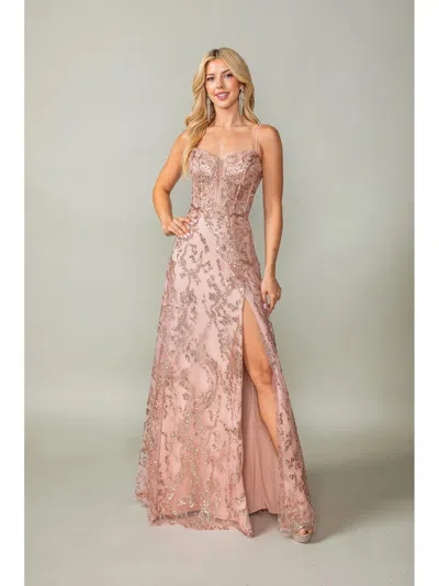 Dq Embroidered Floral Lace Gown With Beaded Accents And Sheer Overlay Prom Dress In Pink