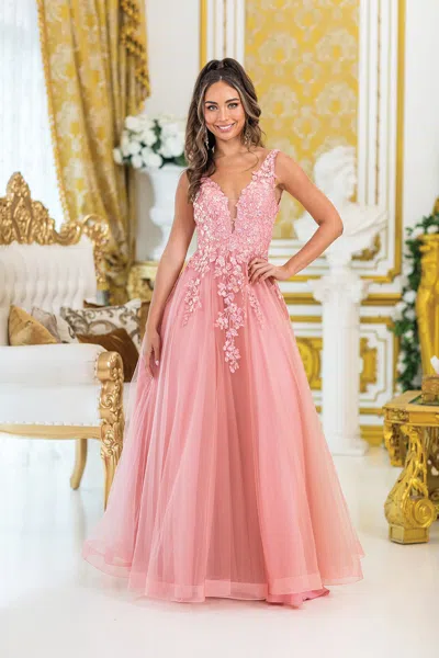 Dq Enchanted Tulle A-line Gown With Floral Applique And Sheer Plunge Bodice Prom Dress In Pink