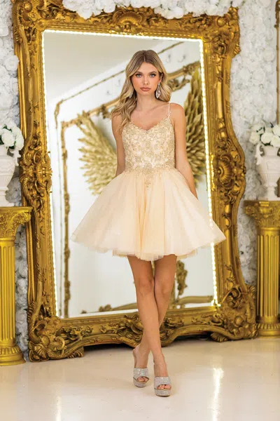 Dq Hort Spaghetti Strap Homecoming Dress With Beaded Lace Bodice And Tulle Skirt In White