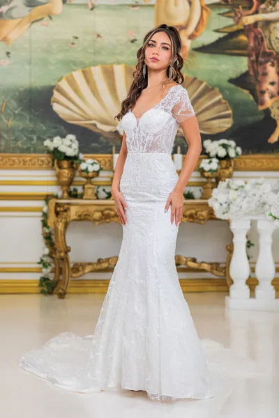 Dq Lace Wedding Dress With V-neckline, Sheer Illusion Bodice, Short Sleeves, And Fitted Mermaid Silhoue In White