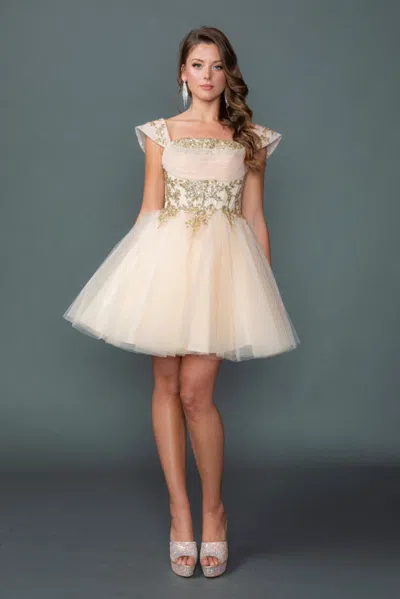 Dq Off-shoulder Embellished Corset Tulle Short A-line Homecoming Dress In Pink