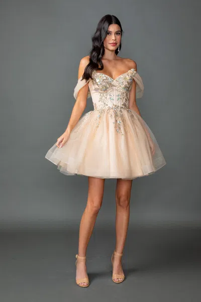 Dq Off-the-shoulder Tulle Homecoming Dress With Embroidered Corset Bodice And A-line Skirt In Neutral