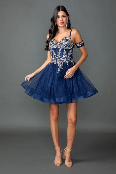 Dq Sweetheart Embroidered Corset Short Tulle A-line Homecoming Dress In Blue