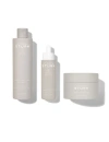 Dr Barbara Sturm Anti-hair Fall Hair & Scalp Trio
