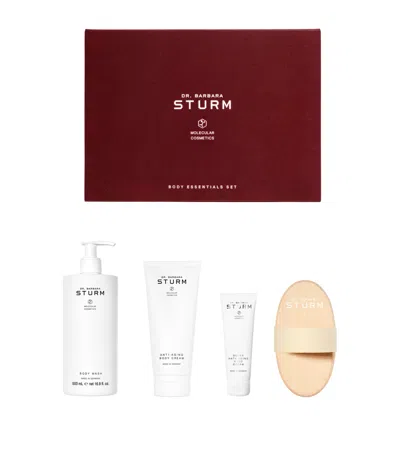 Dr Barbara Sturm Body Essentials Gift Set In Multi
