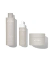 Dr Barbara Sturm Super Anti-aging Hair & Scalp Trio