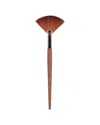 Dr. Botanicals Dr Botanicals Coffee Ground Fan Brush
