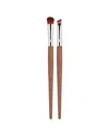 Dr. Botanicals Dr Botanicals Coffee Ground Set Of 2 Eye Brushes