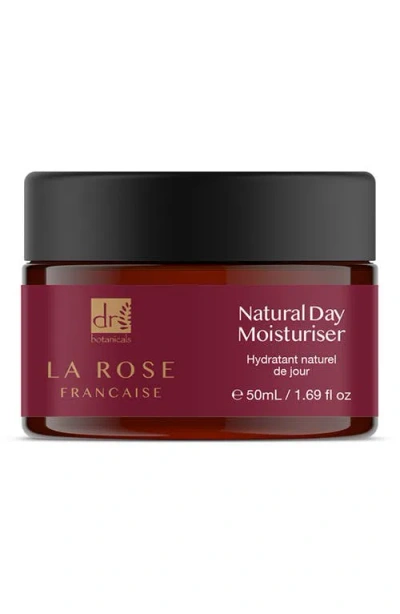 Dr. Botanicals Dr Botanicals Natural Day Moisturizer In Transparent