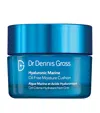 Dr Dennis Gross Hyaluronic Marine Moisture Cushion