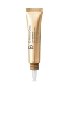 Dr Dennis Gross Skincare Derminfusions Fill + Repair Eye Cream In Beauty: Na