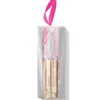 Dr Dennis Gross Skincare Lip Ornament Kit