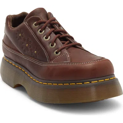 Dr. Martens Buzz 5i Flower Platform Oxford In Brown