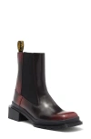 Dr. Martens' Dr. Martens Maybole Tall Chelsea Boot In Black/cherry Red Brush Off