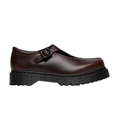Pre-owned Dr. Martens Wmns Rejena Mary Jane 'spiced Brown' | Women's Size 9