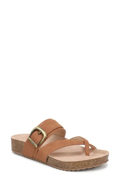 Dr. Scholl's Livia Slide Sandal In Brown
