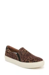 Dr. Scholl's Nova Slip-on Sneaker In Multi