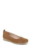 Dr. Scholl's Timeless Flat In Brown