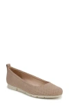 Dr. Scholl's Timeless Flat In Neutral