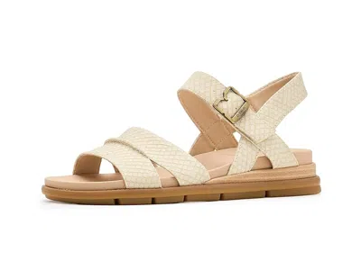 Dr. Scholl's Timeless Fun In Multi
