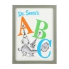 Dr. Seuss Abc Framed Book Cover Replica Gray Wooden Wall Frame In White