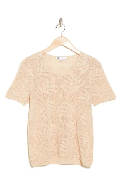 Dr2 By Daniel Rainn Cotton Jacquard Short Sleeve Sweater In Sand