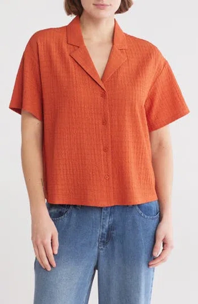 Dr2 By Daniel Rainn Short Sleeve Knit Button-up Shirt In Baked Cinnamon