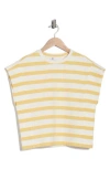 Dr2 By Daniel Rainn Stripe Cap Sleeve Top In Multi