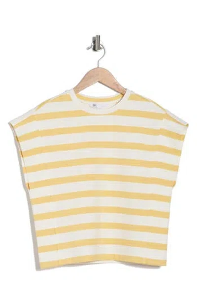 Dr2 By Daniel Rainn Stripe Cap Sleeve Top In Multi