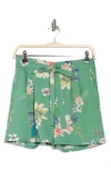 Dr2 By Daniel Rainn Tie Waist Shorts