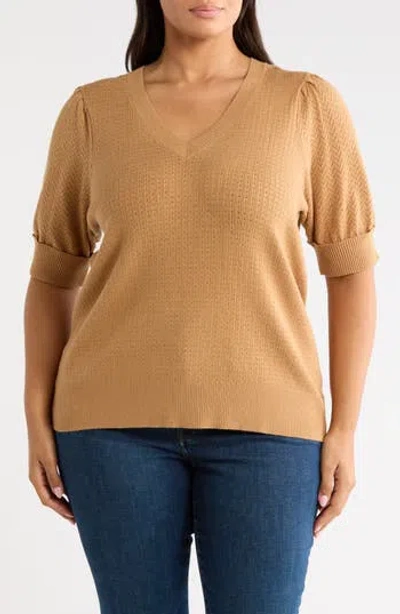Dr2 By Daniel Rainn V-neck Short Sleeve Pointelle Sweater In Brown