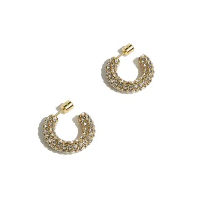 Drae Collection Women's Extra Bold Earrings Gold
