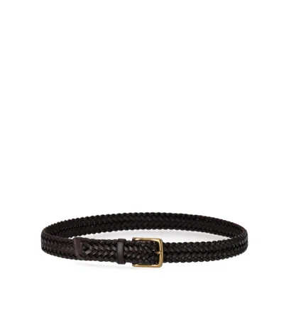 Dragon Diffusion 3cm Dark Brown Belt In Black