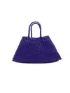 Dragon Diffusion Bags.. In Blue