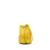 Dragon Diffusion Bags In Yellow