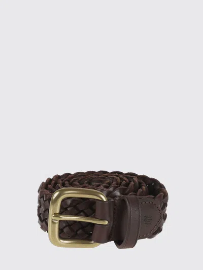 Dragon Diffusion Belt Woman  In Brown