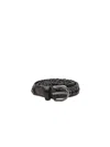 Dragon Diffusion Belts In Black