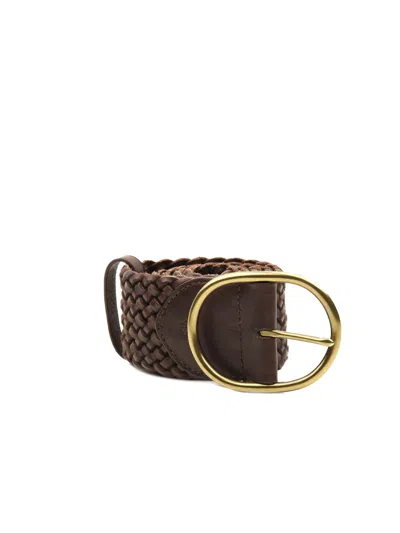 Dragon Diffusion Belts In Brown