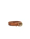 Dragon Diffusion Belts Brown In Brown
