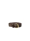 Dragon Diffusion Belts In Dark Brown